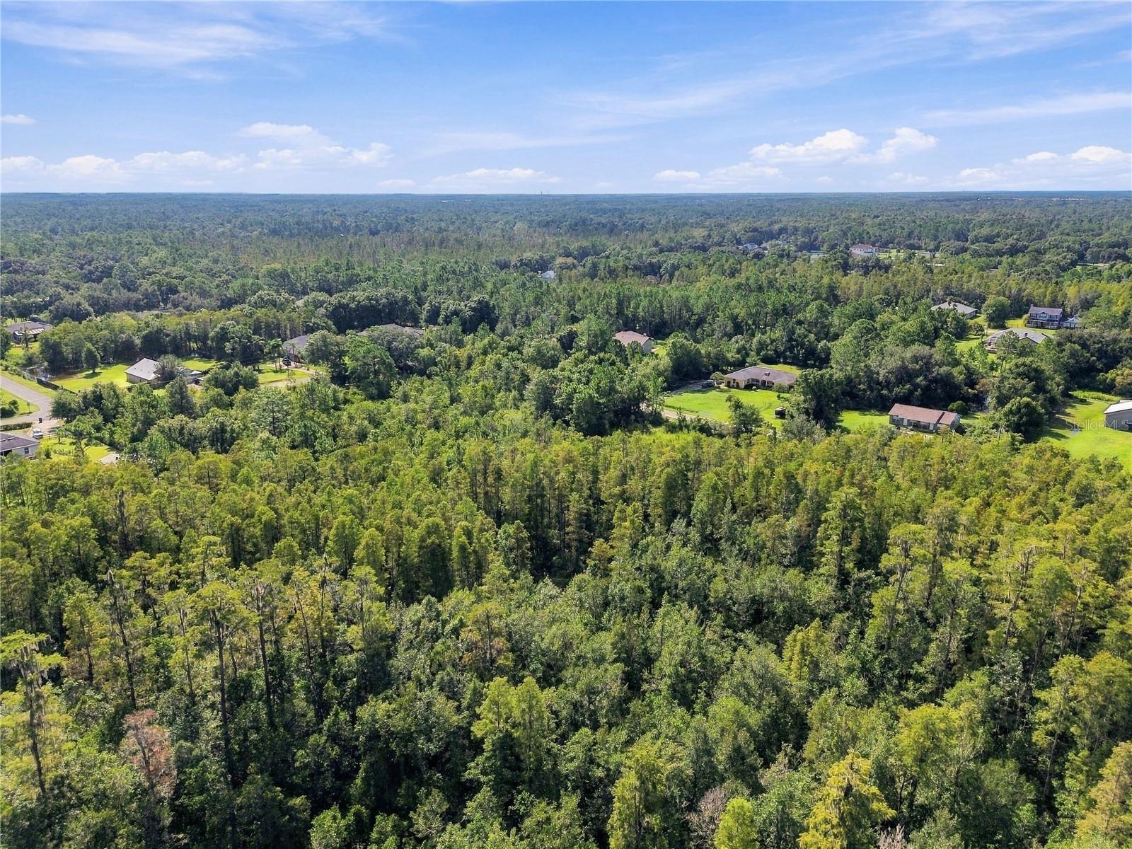 26633 Pheasant Run Property Photo 49
