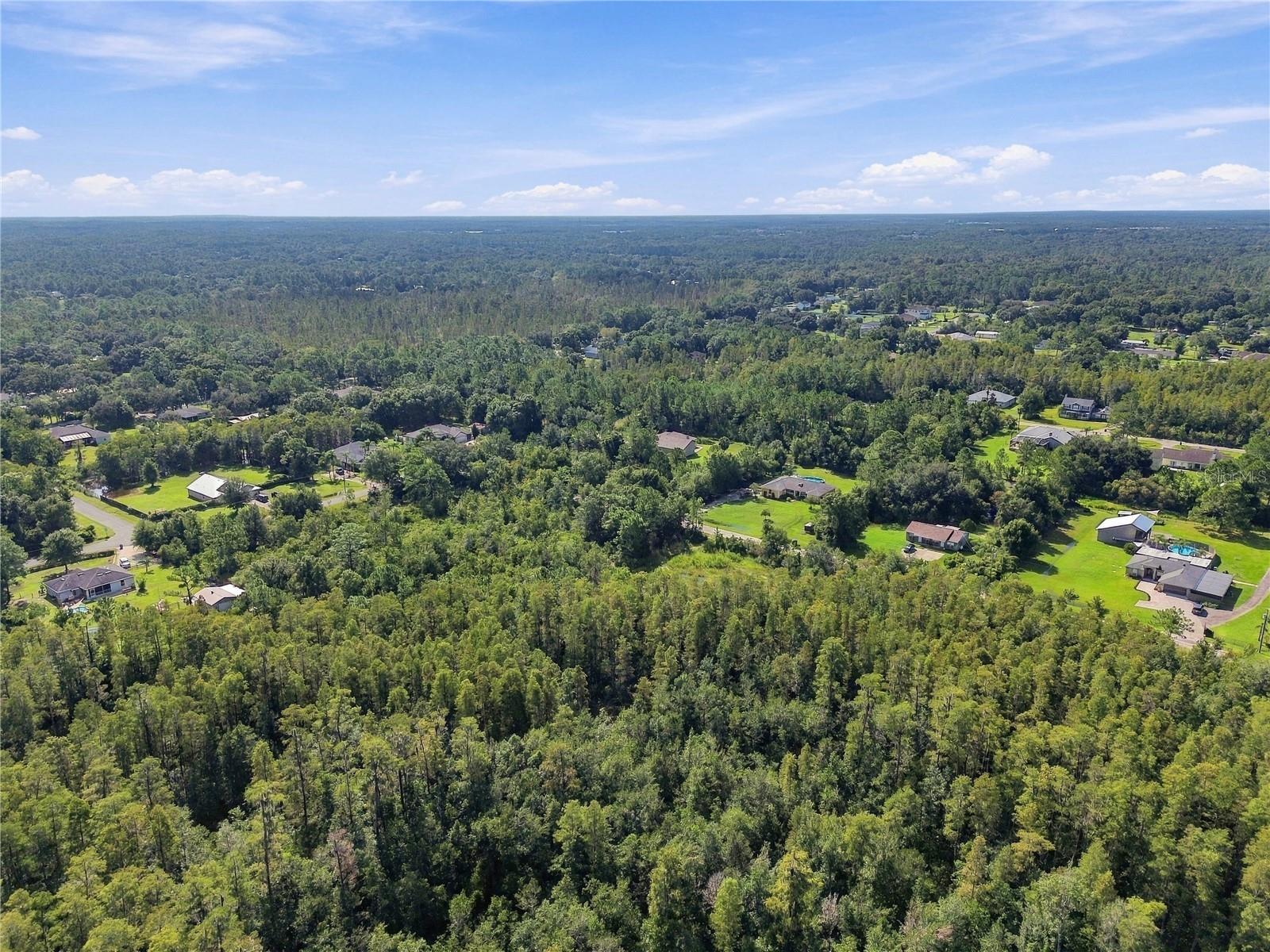 26633 Pheasant Run Property Photo 50
