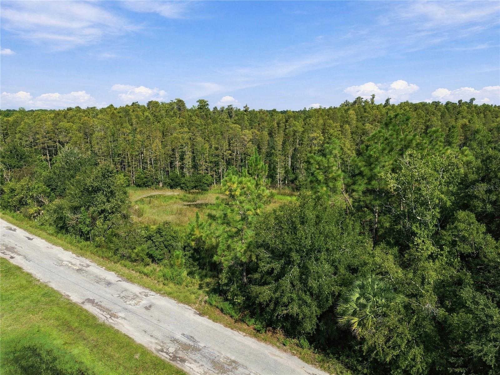 26633 Pheasant Run Property Photo 52