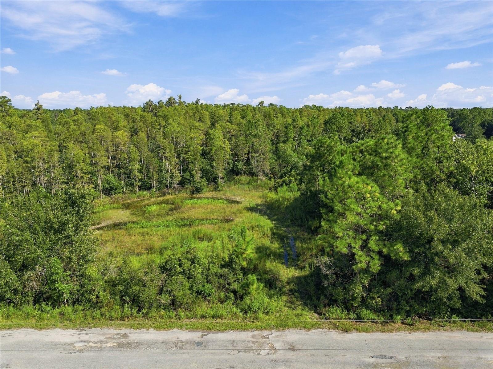 26633 Pheasant Run Property Photo 53