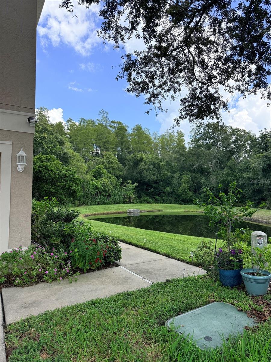 6237 Duck Key Ct Property Photo 25