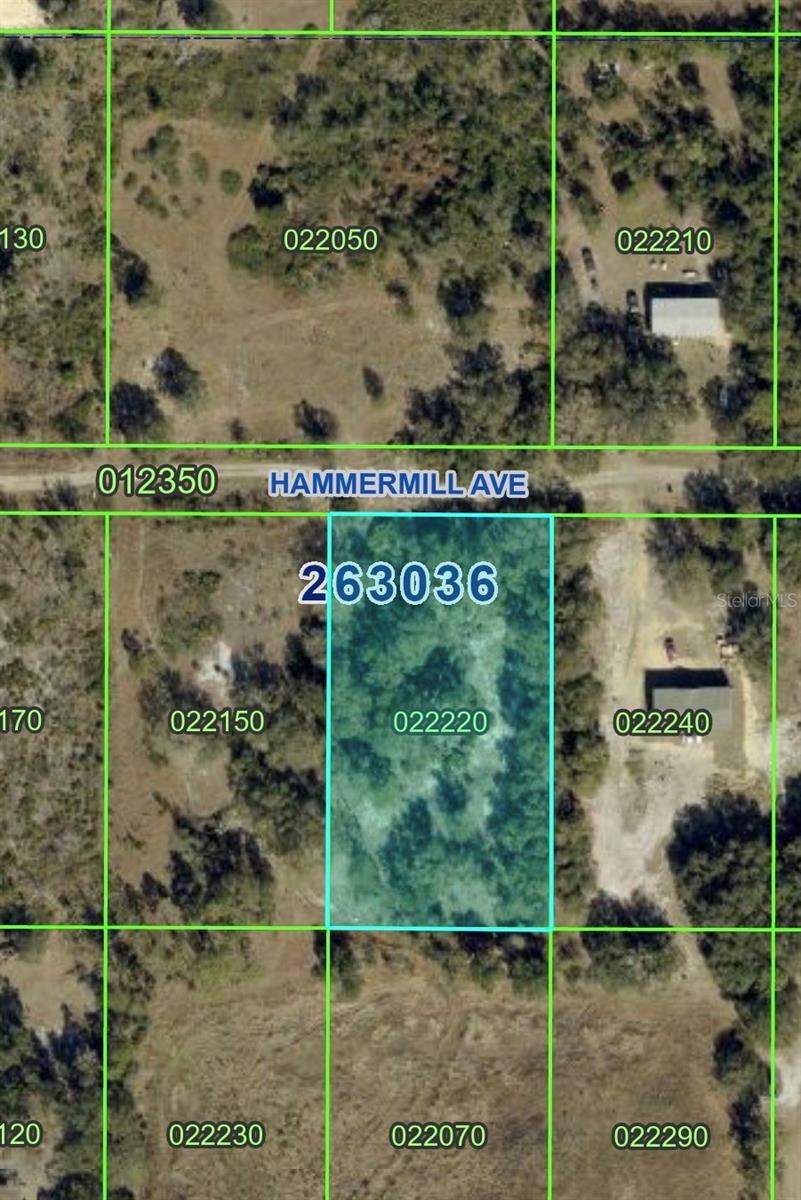 HAMMERMILL AVE Property Photo 1