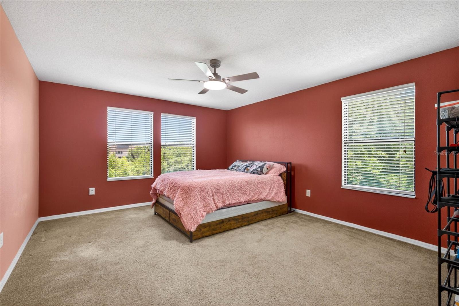 11603 Palmetto Pine St Property Photo 40