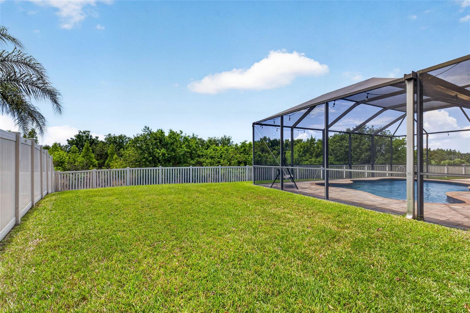 11603 Palmetto Pine St Property Photo 60