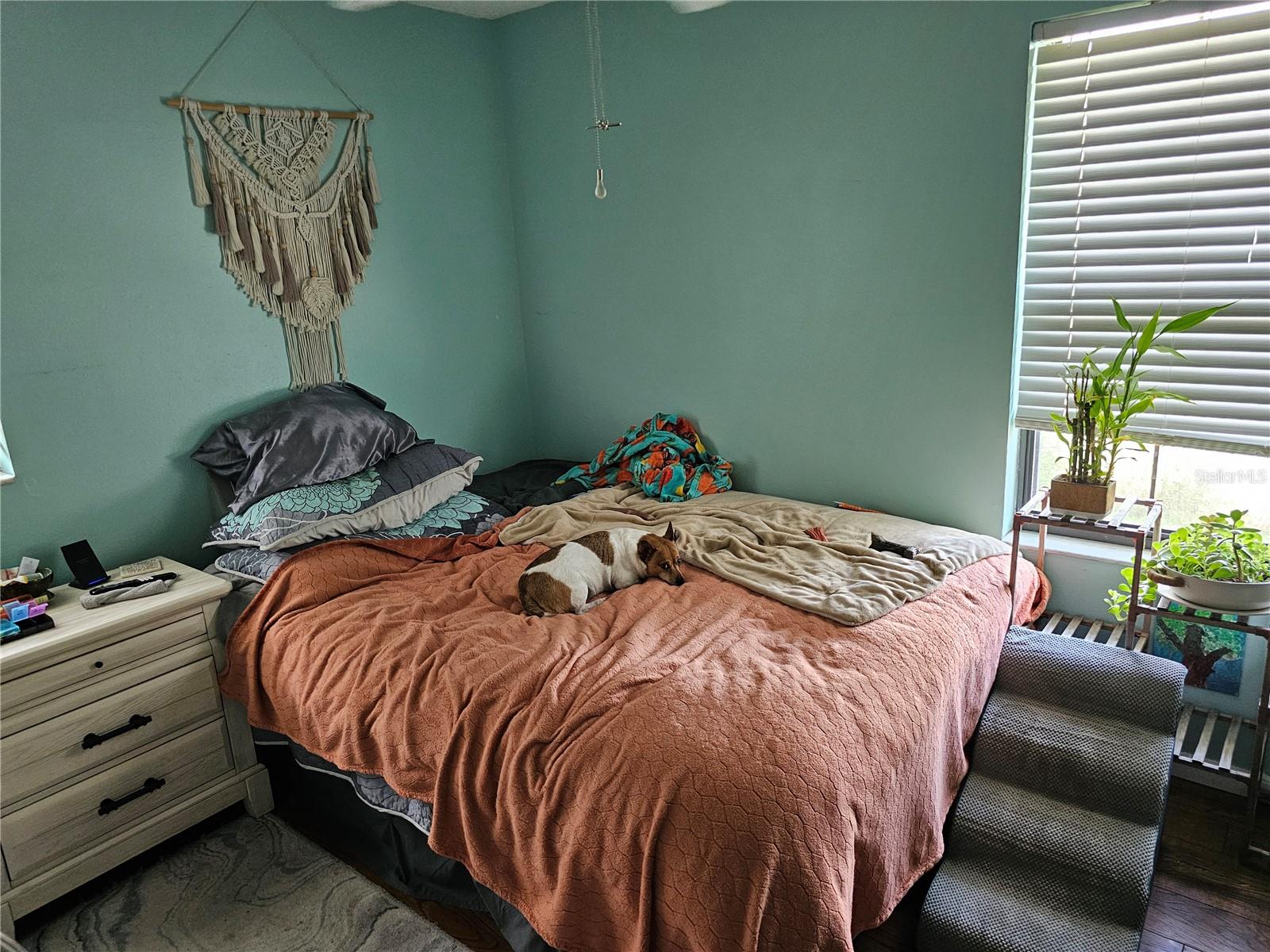 3317 Oleander Dr Property Photo 43