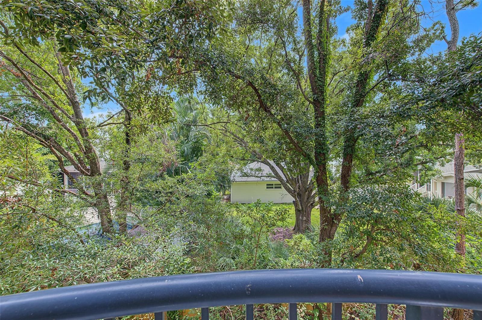 5214 Hampton Beach Pl #5214 Property Photo 28