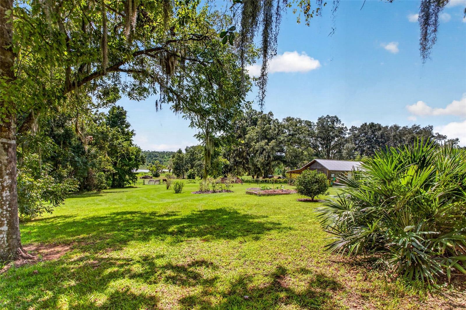 32824 Lister Rd Property Photo 60