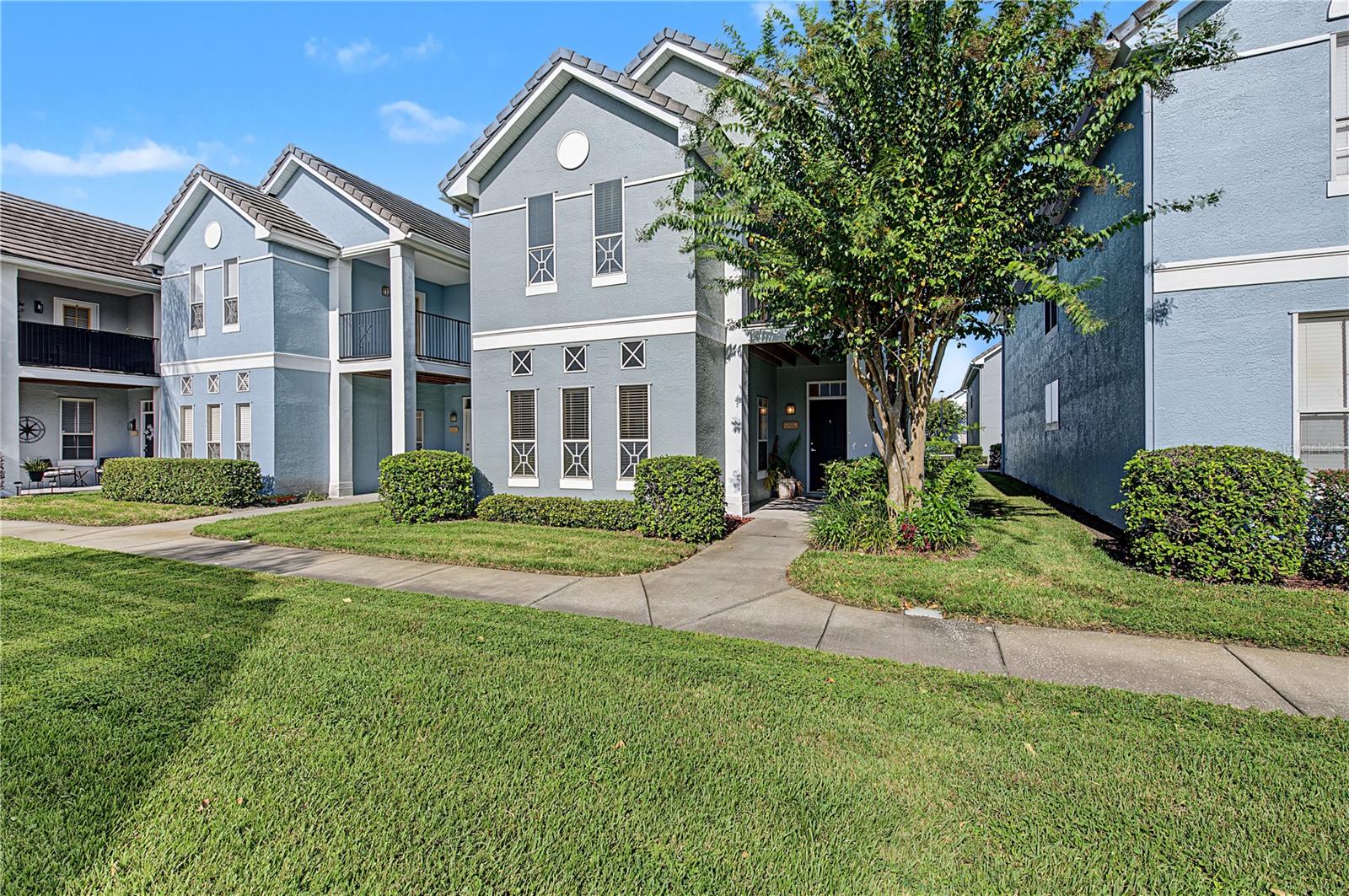 4006 Carrollwood Palm Ct Property Photo 3