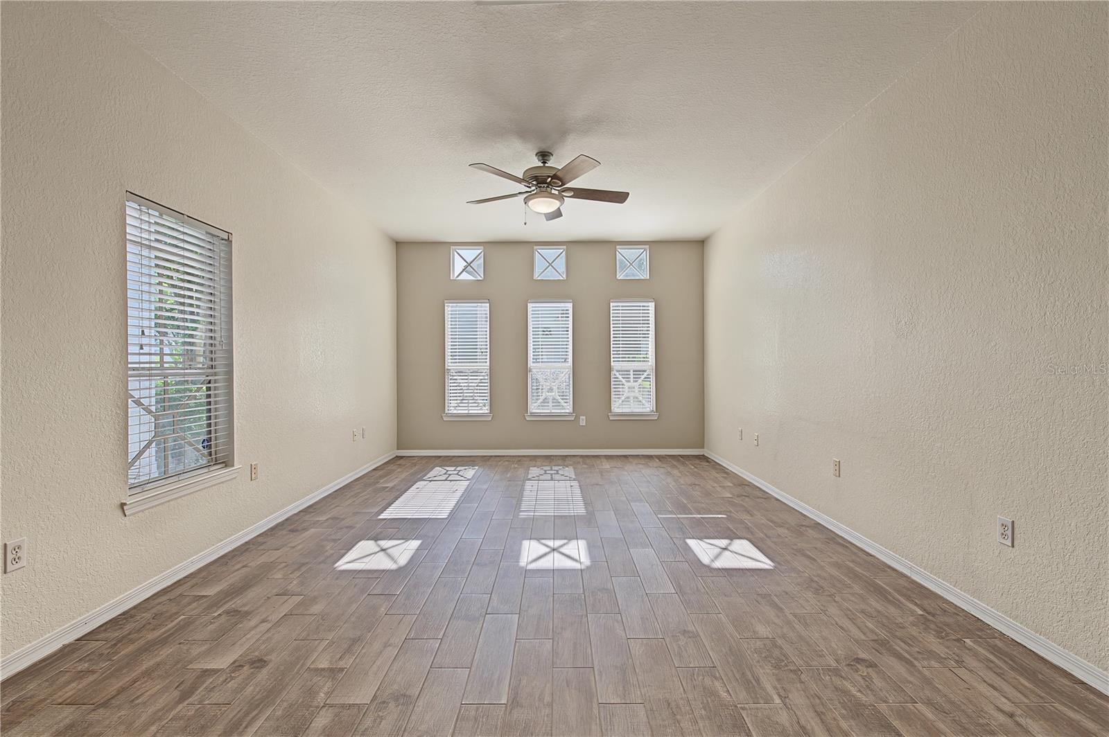 4006 Carrollwood Palm Ct Property Photo 14
