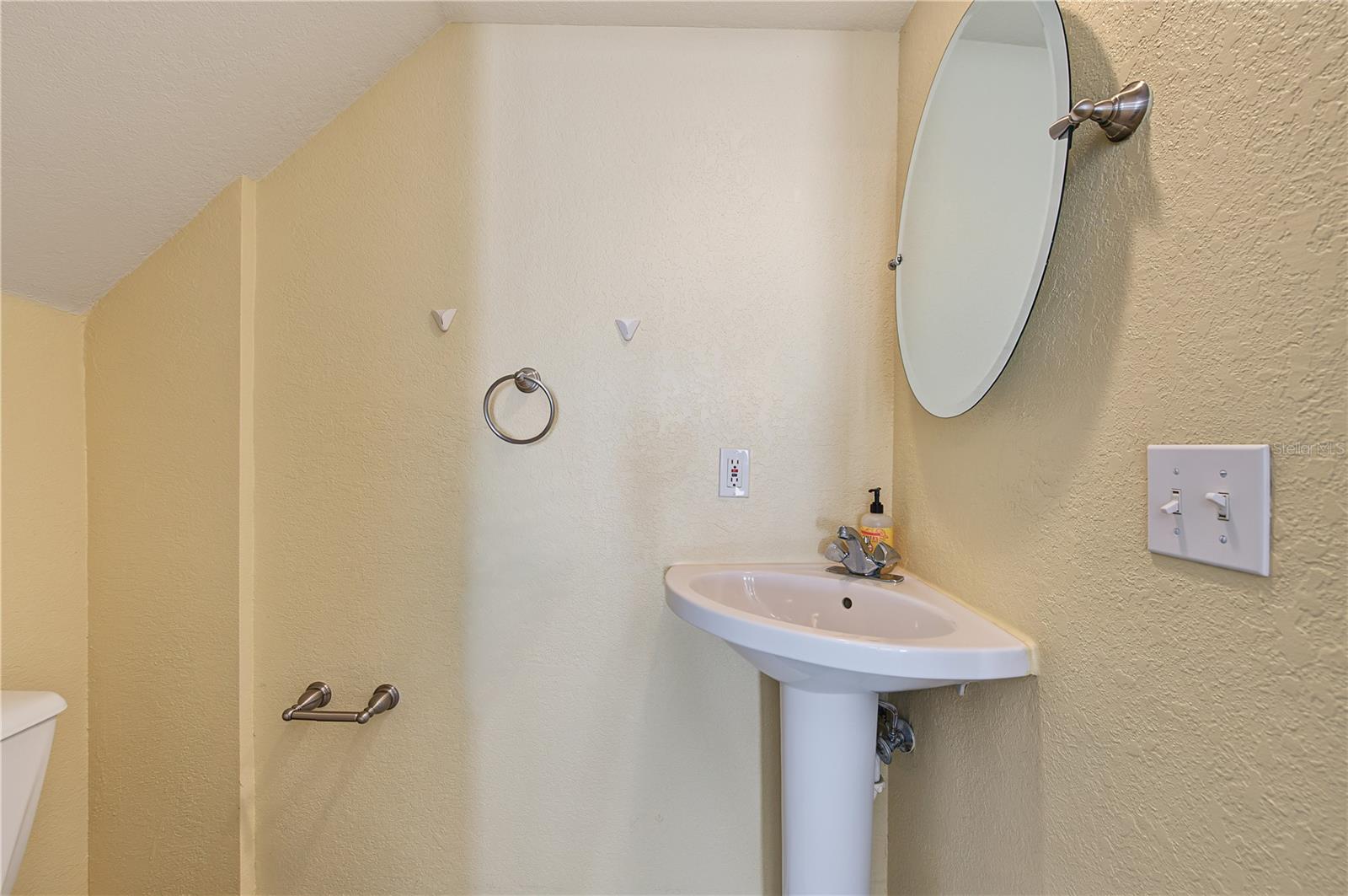 4006 Carrollwood Palm Ct Property Photo 20
