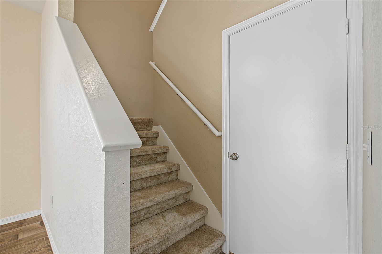 4006 Carrollwood Palm Ct Property Photo 29