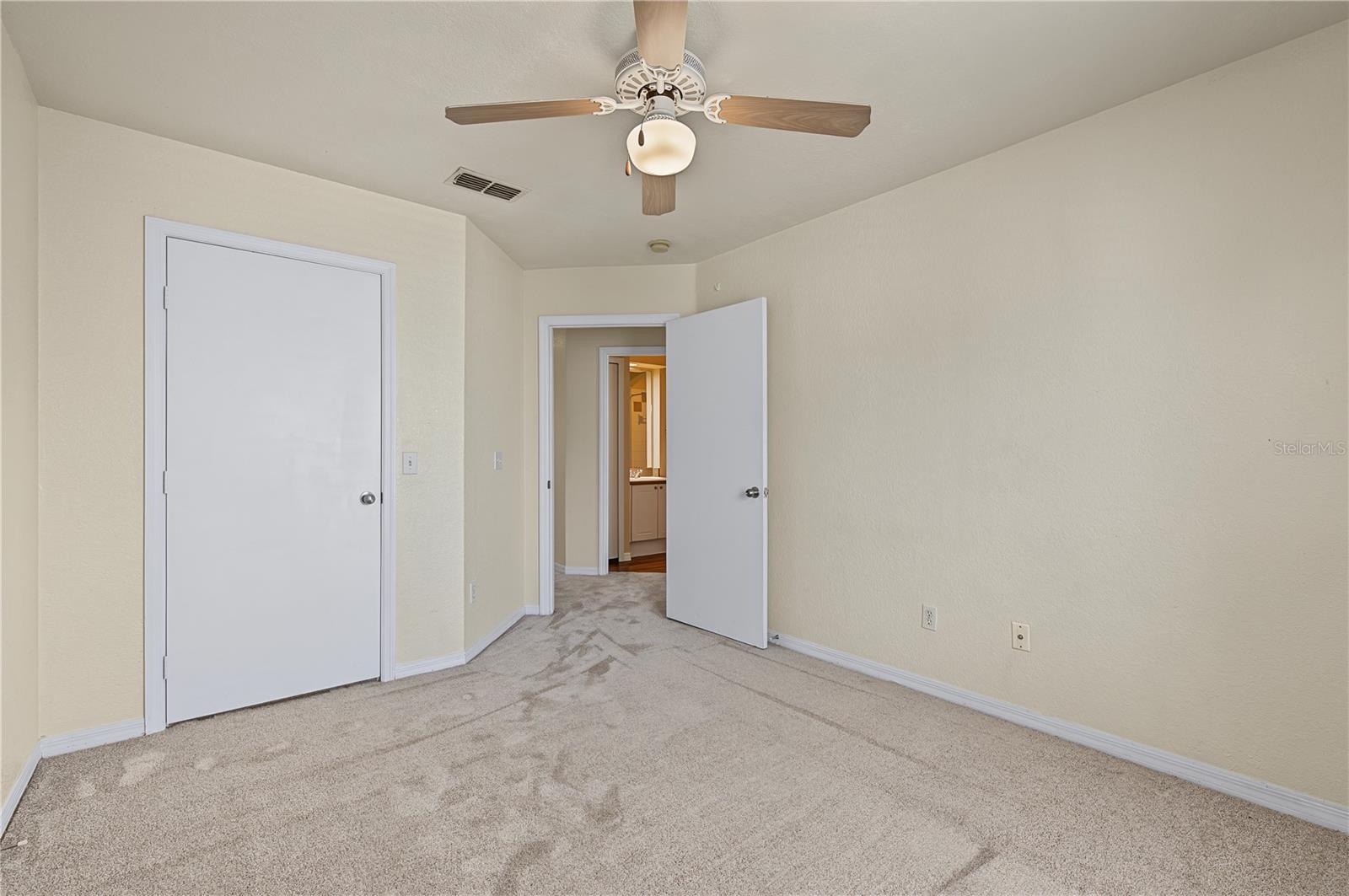 4006 Carrollwood Palm Ct Property Photo 31