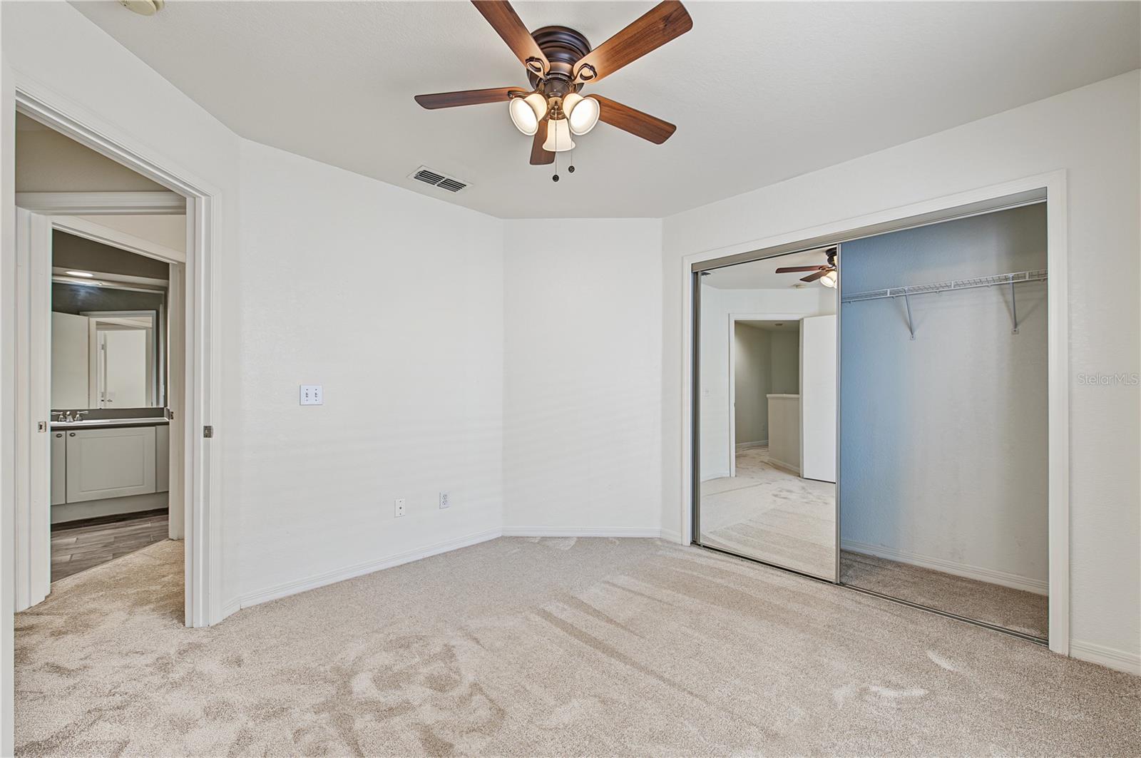 4006 Carrollwood Palm Ct Property Photo 38