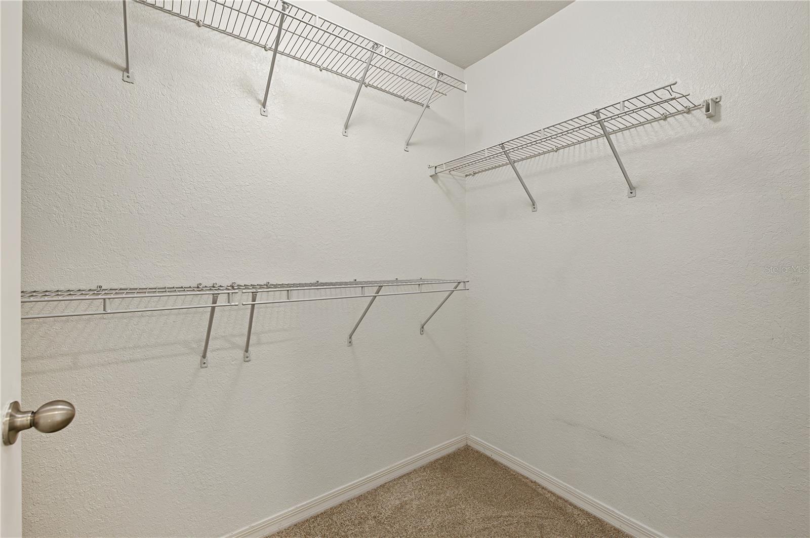 4006 Carrollwood Palm Ct Property Photo 41
