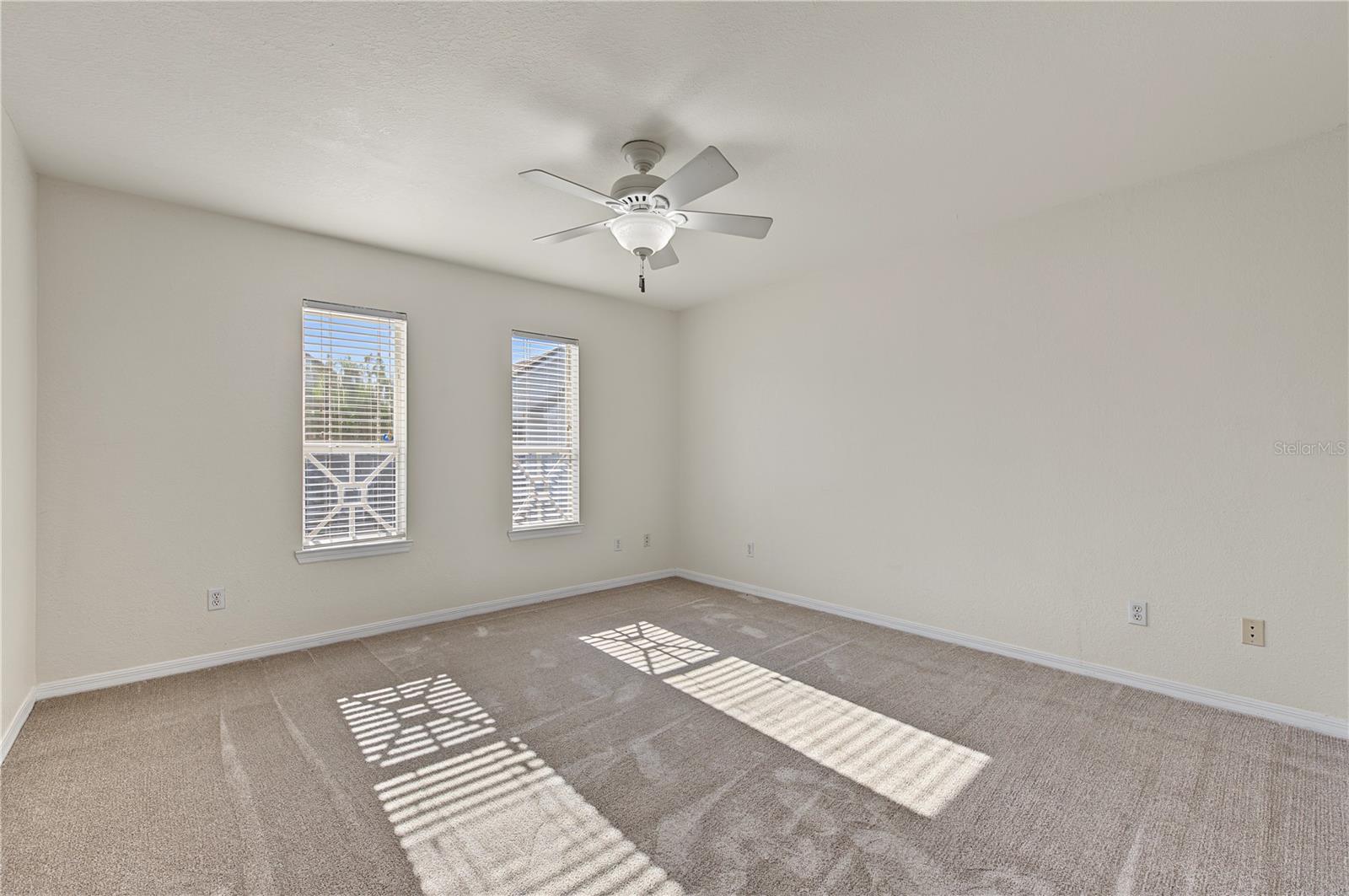 4006 Carrollwood Palm Ct Property Photo 42