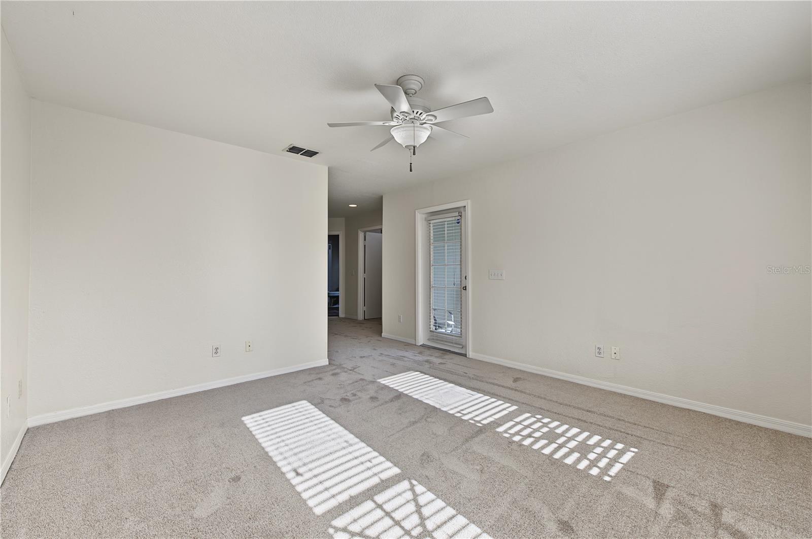 4006 Carrollwood Palm Ct Property Photo 43