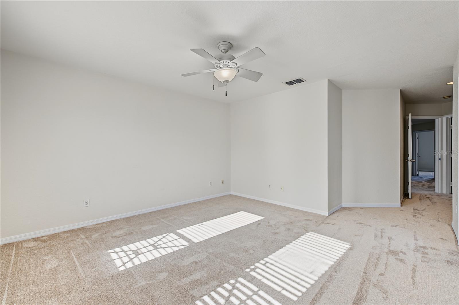 4006 Carrollwood Palm Ct Property Photo 44