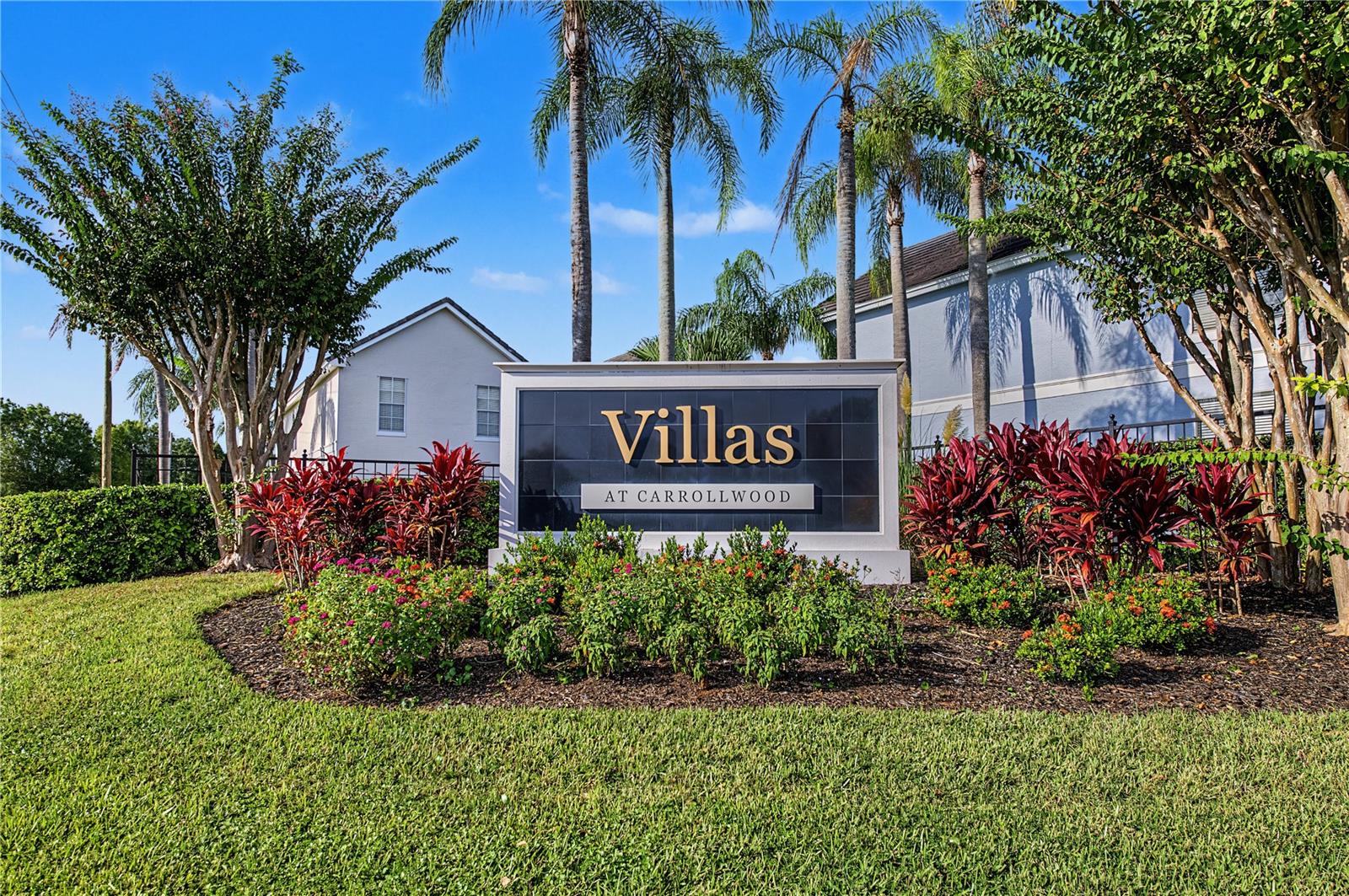 4006 Carrollwood Palm Ct Property Photo 48