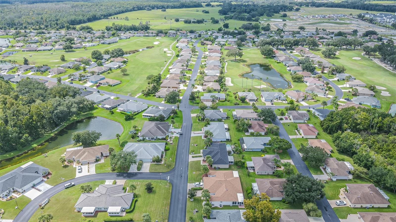 29335 Caddyshack Ln Property Photo 61