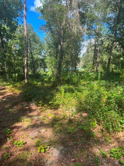 Elaine Dr Property Photo 5