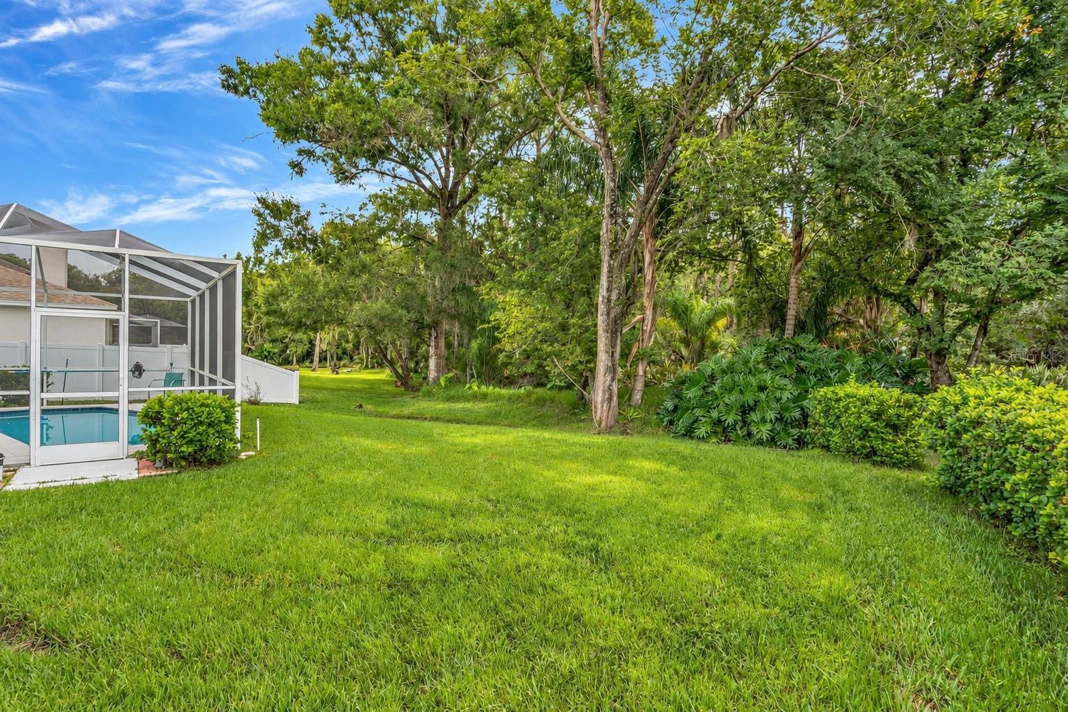 15709 Muirfield Dr Property Photo 17