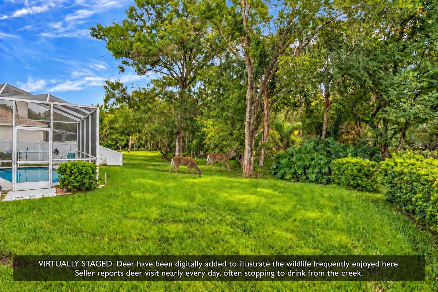 15709 Muirfield Dr Property Photo 18
