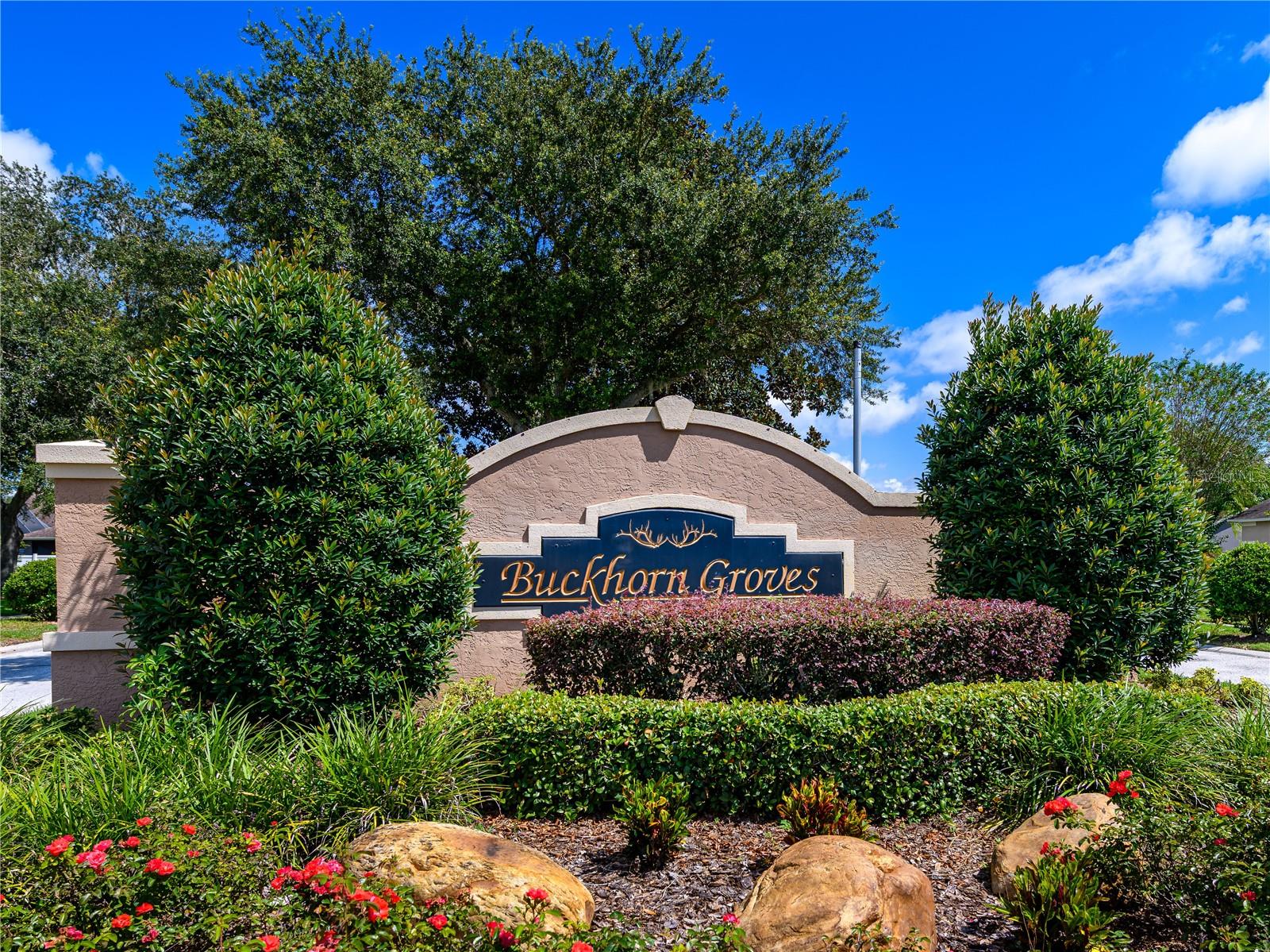 4313 Orange Ridge Ct Property Photo 46