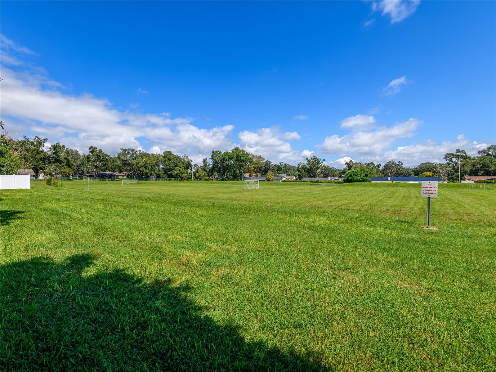 4313 Orange Ridge Ct Property Photo 47