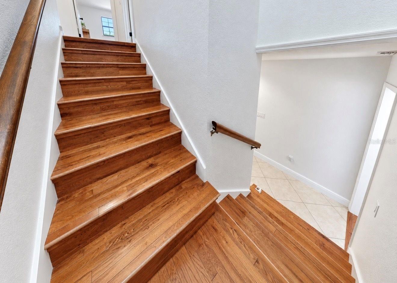 2818 Springdell Cir Property Photo 32