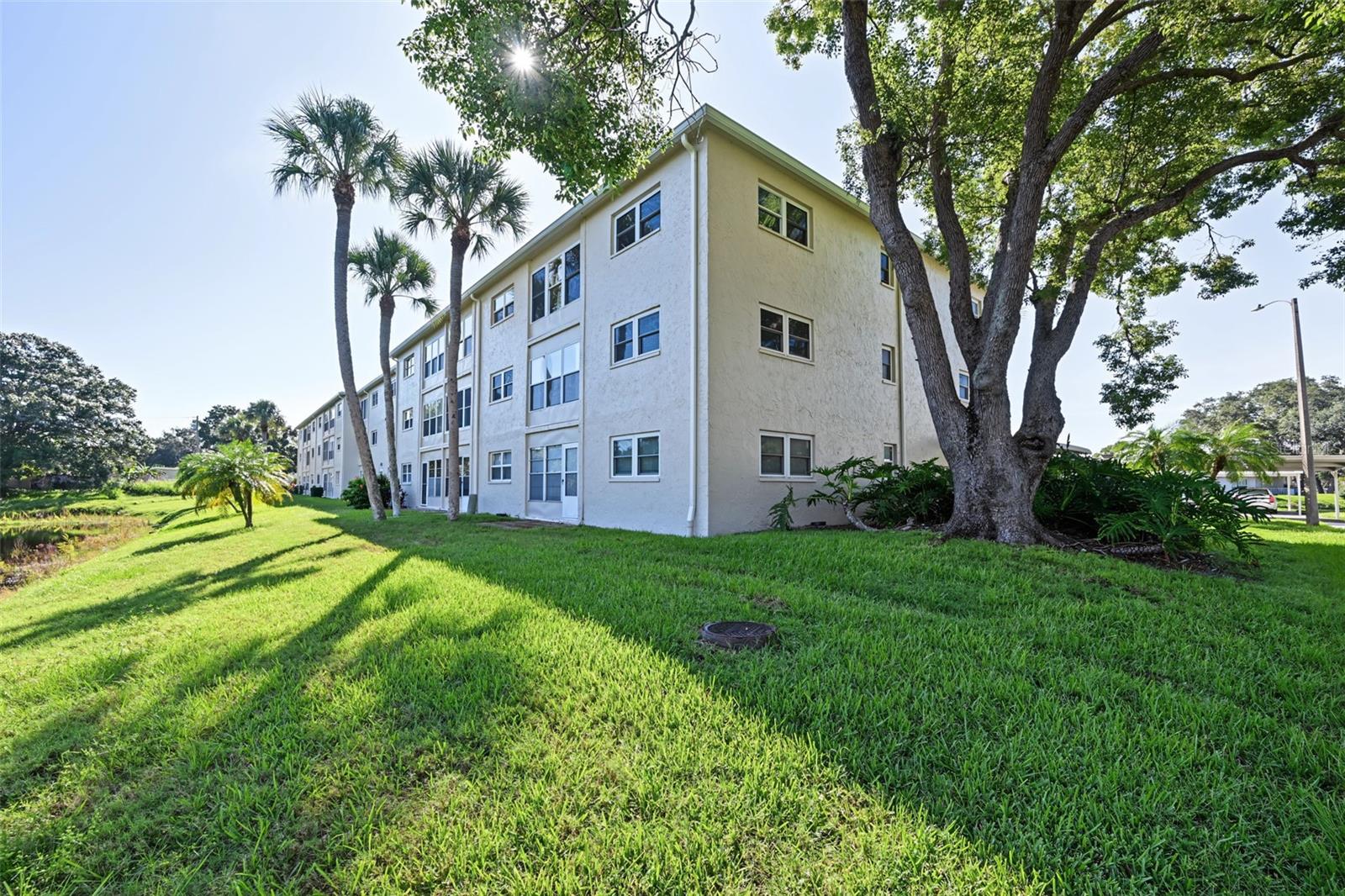 936 Virginia St #306 Property Photo 59