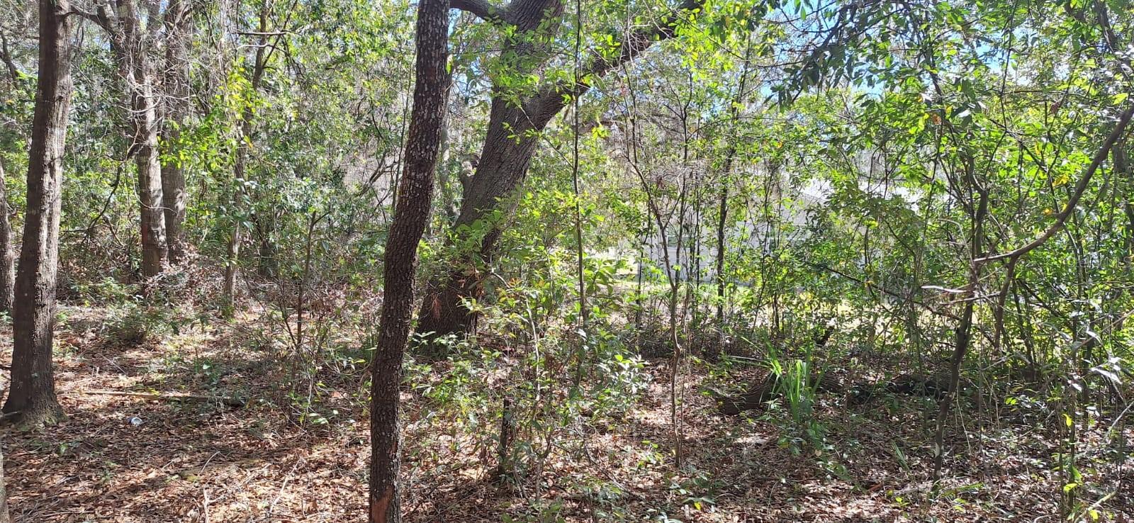 6600 N Pagoda Tree Ter Property Photo 2