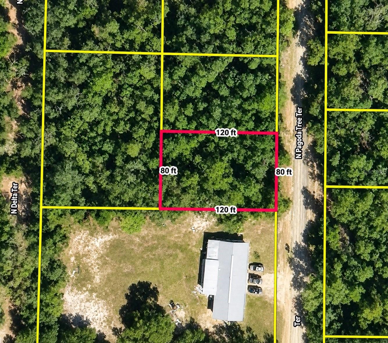 6600 N Pagoda Tree Ter Property Photo 4