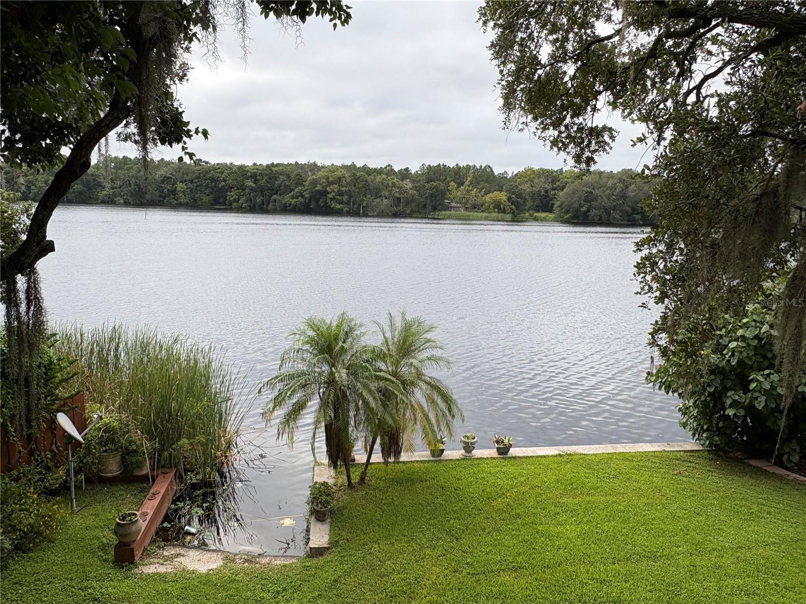 4223 E Riverhills Dr Property Photo 3