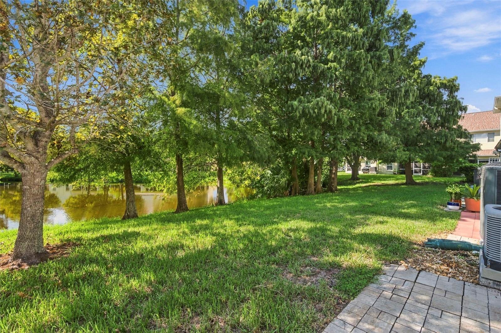 11193 Kapok Grand Cir Property Photo 22