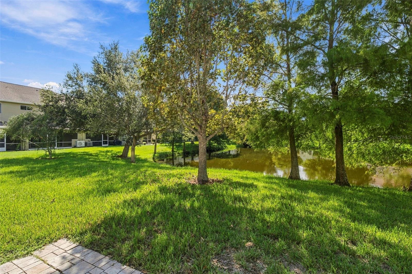 11193 Kapok Grand Cir Property Photo 23