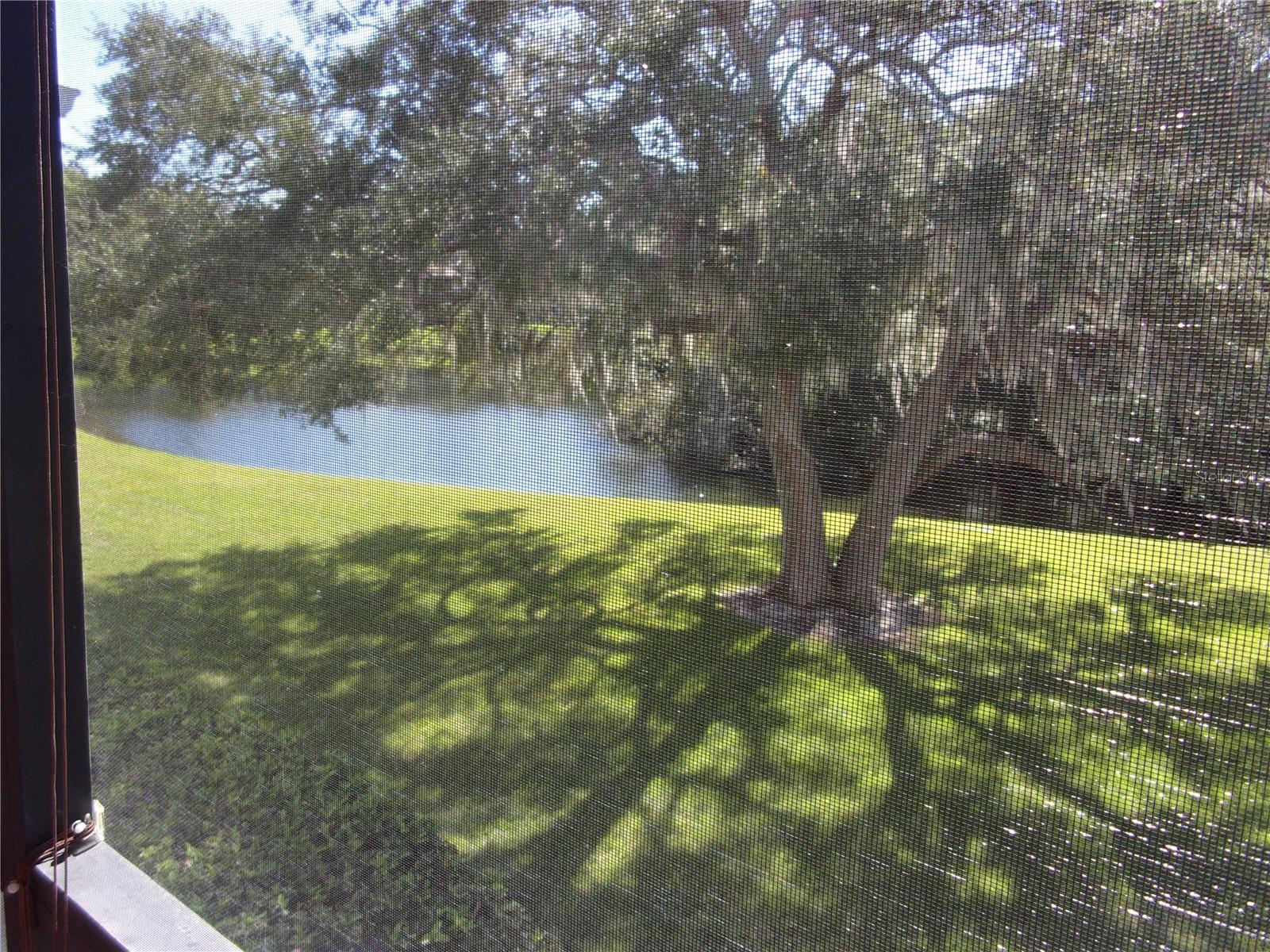 278 Cypress Ln Property Photo 1