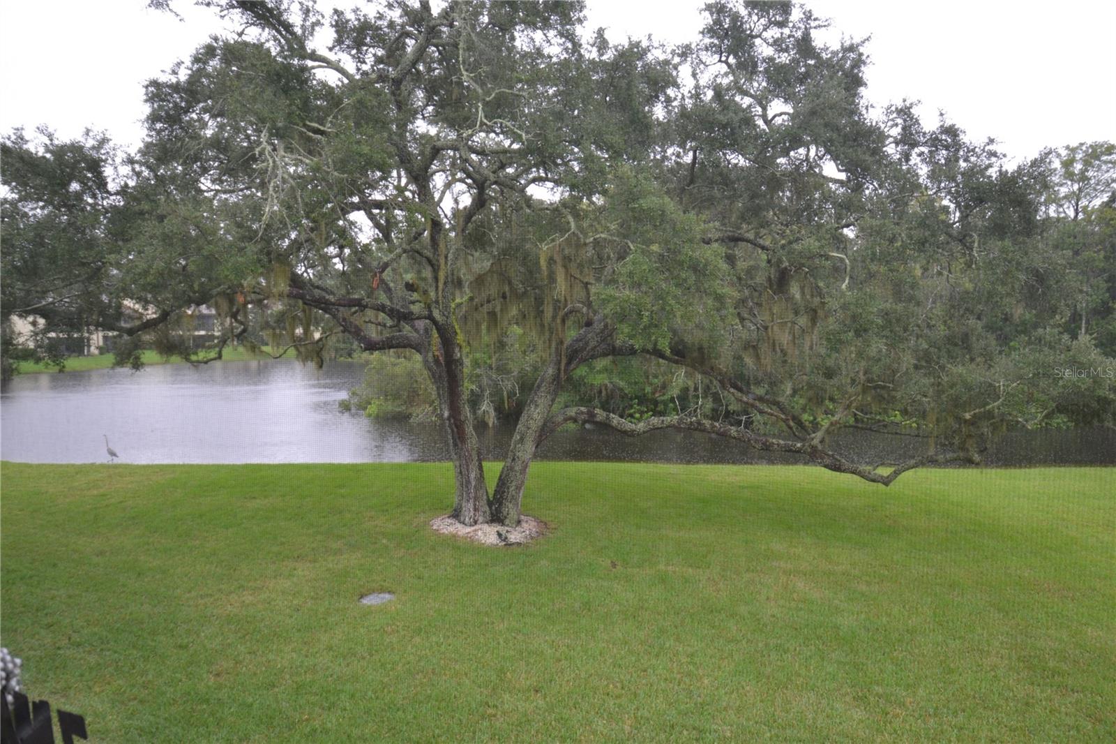 278 Cypress Ln Property Photo 20