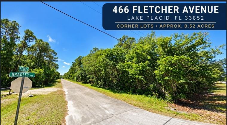 466 FLETCHER AVE Property Photo 1