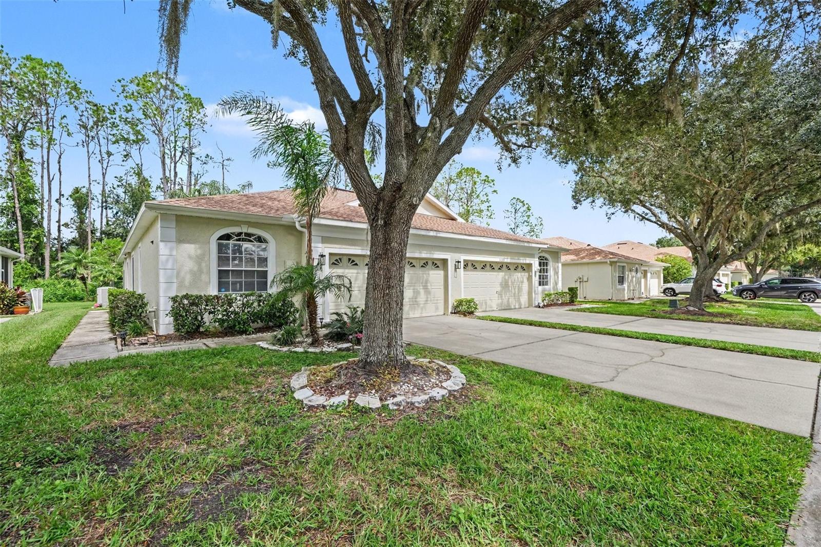 34825 Double Eagle Ct Property Photo 3