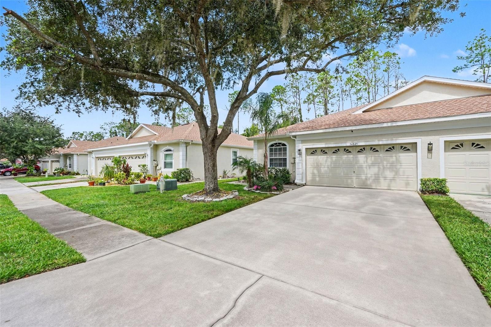34825 Double Eagle Ct Property Photo 4