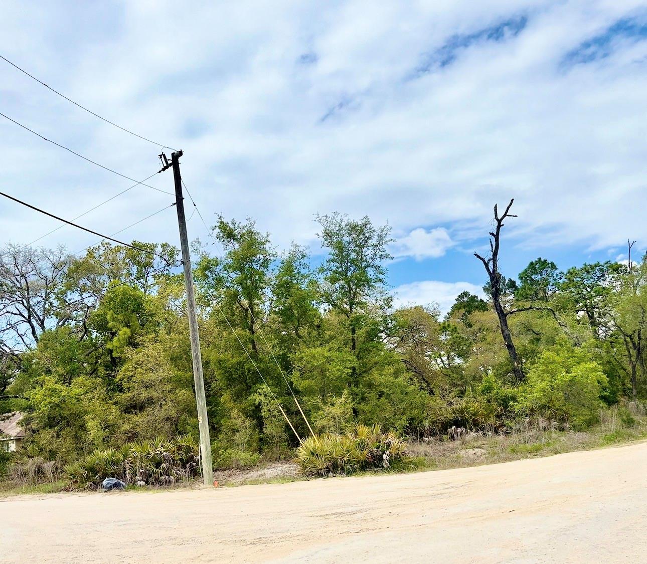 Mountain Mockingbird Rd Property Photo 1