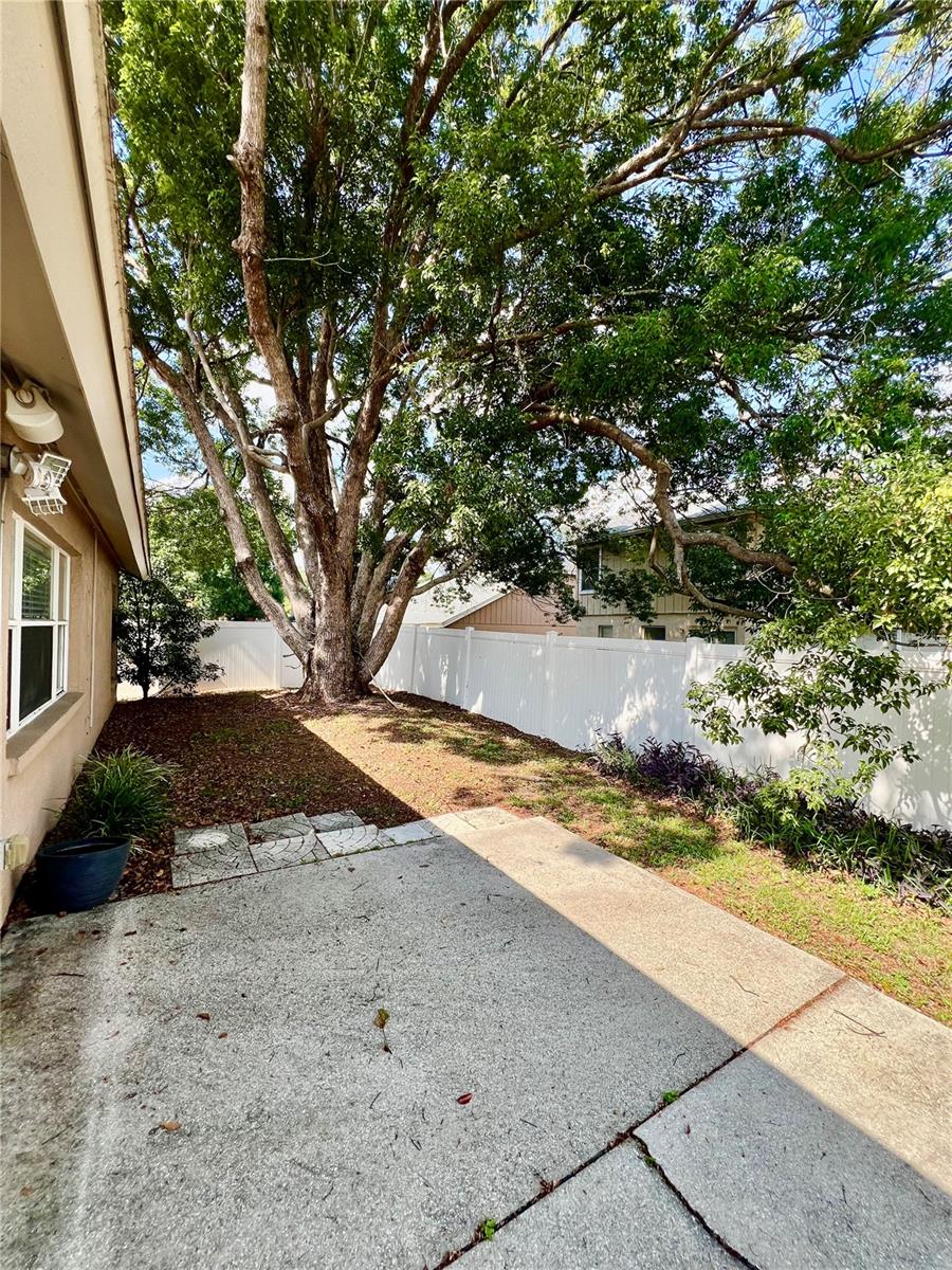 2413 Needham Dr Property Photo 29