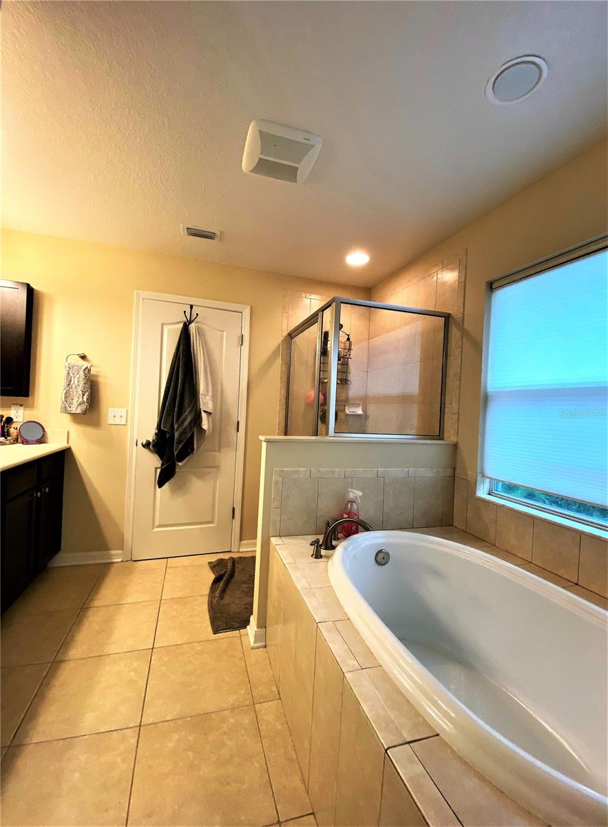 4603 W Loughman St Property Photo 12