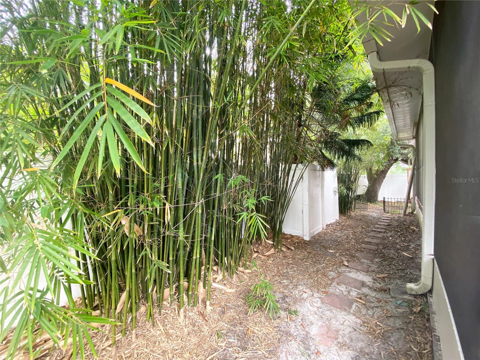 4603 W Loughman St Property Photo 21