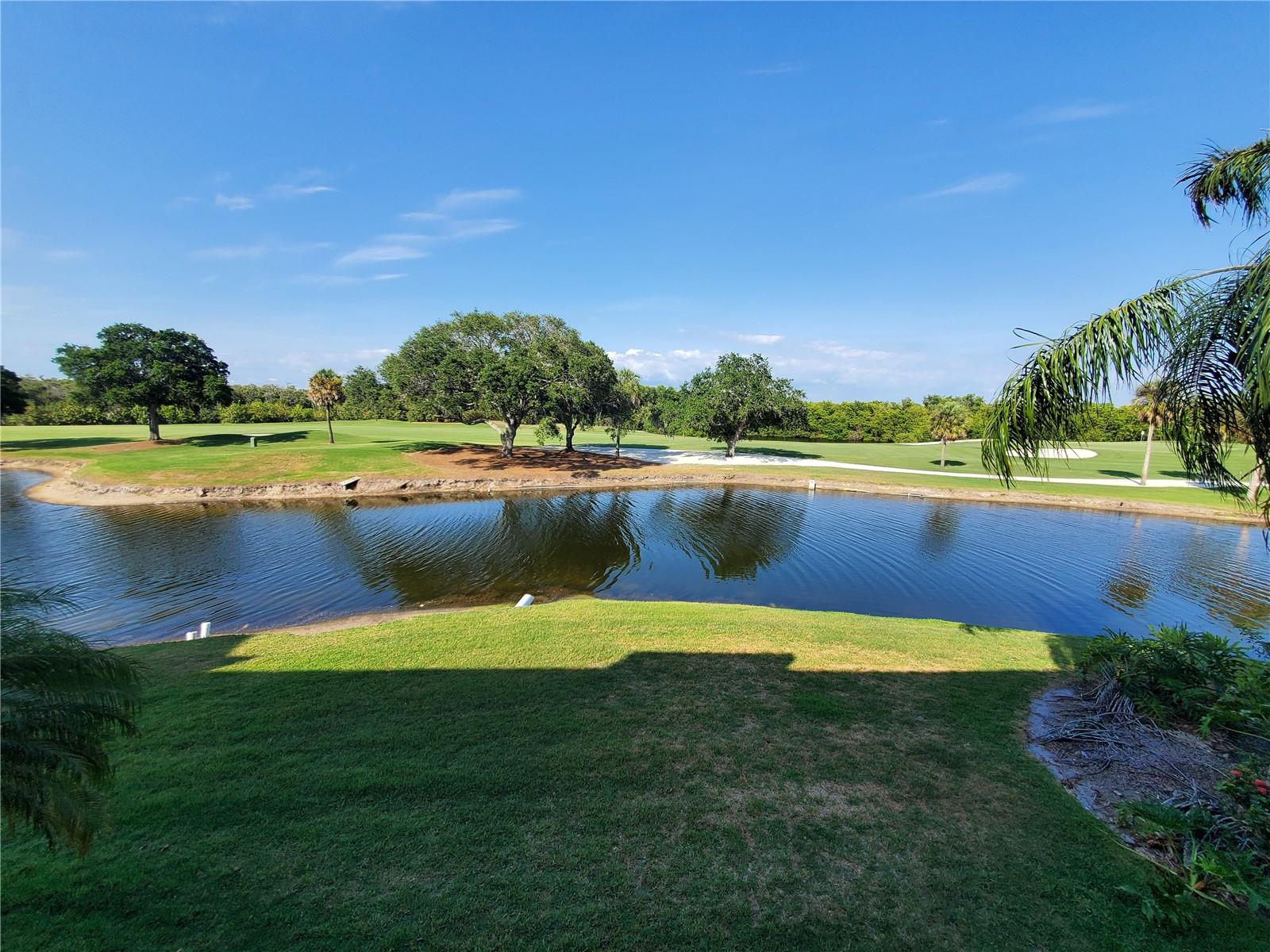 2323 Feather Sound Dr #205 Property Photo 25