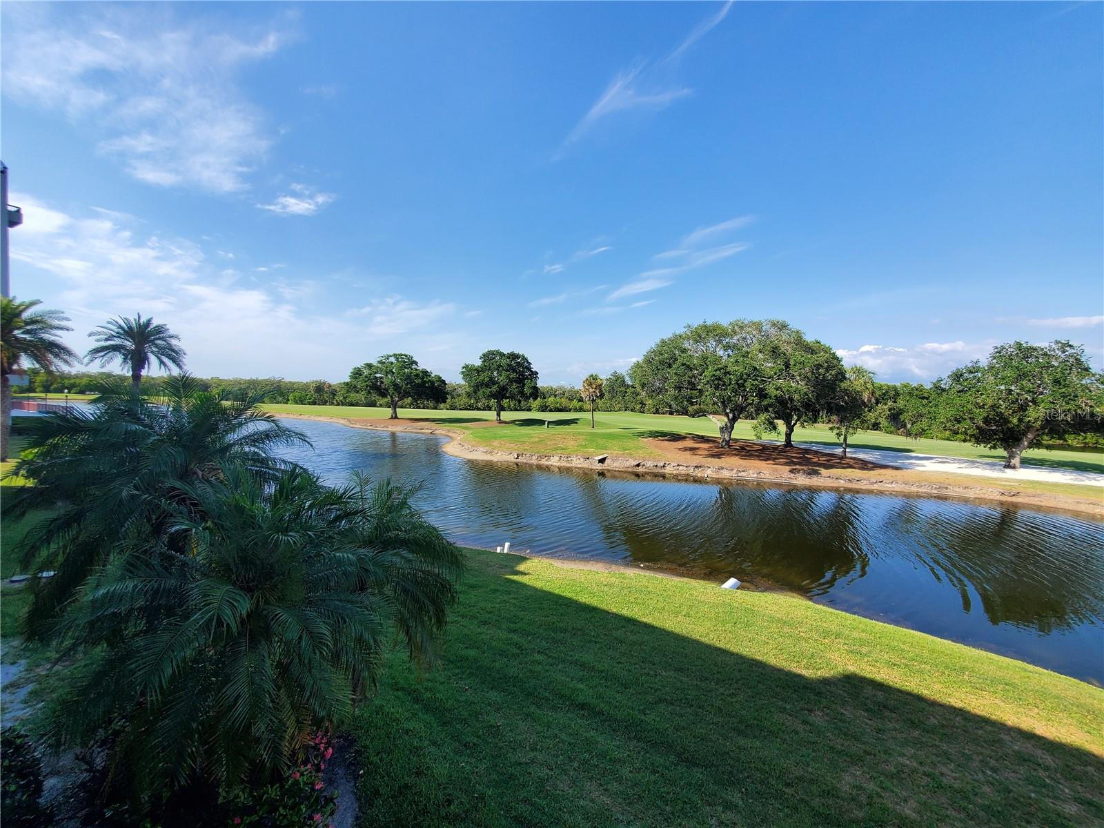 2323 Feather Sound Dr #205 Property Photo 26