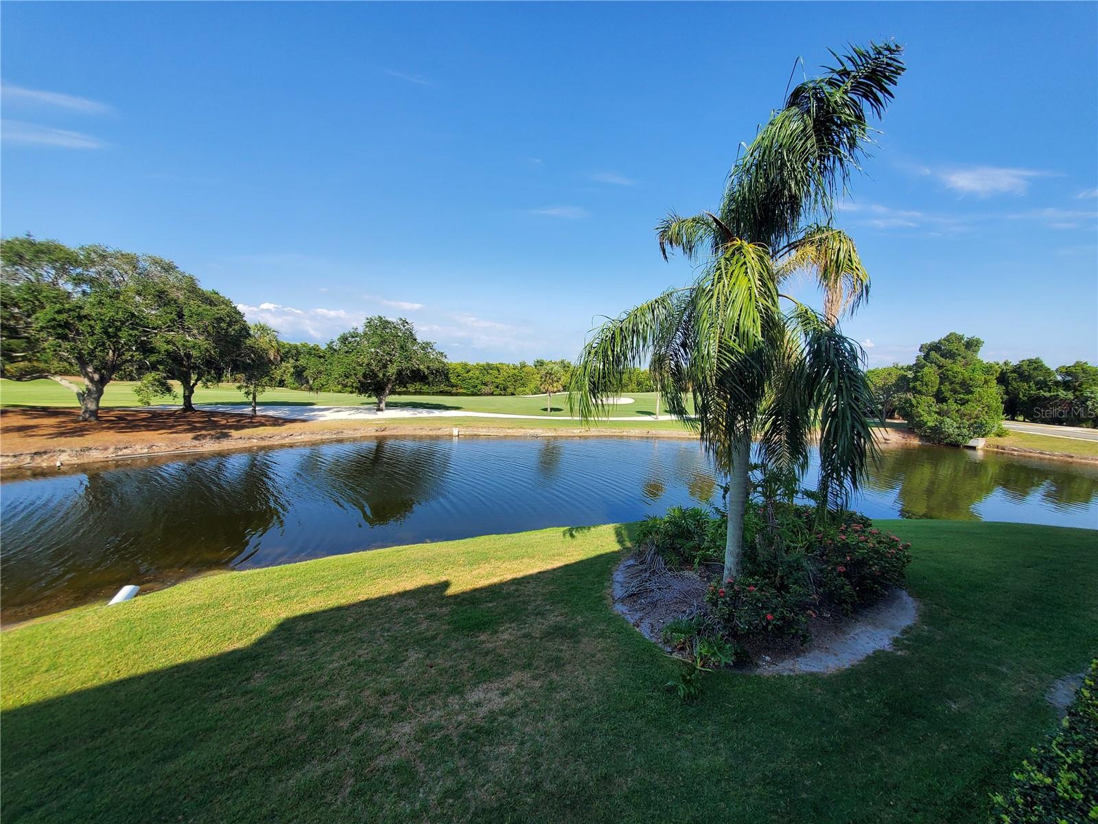 2323 Feather Sound Dr #205 Property Photo 27