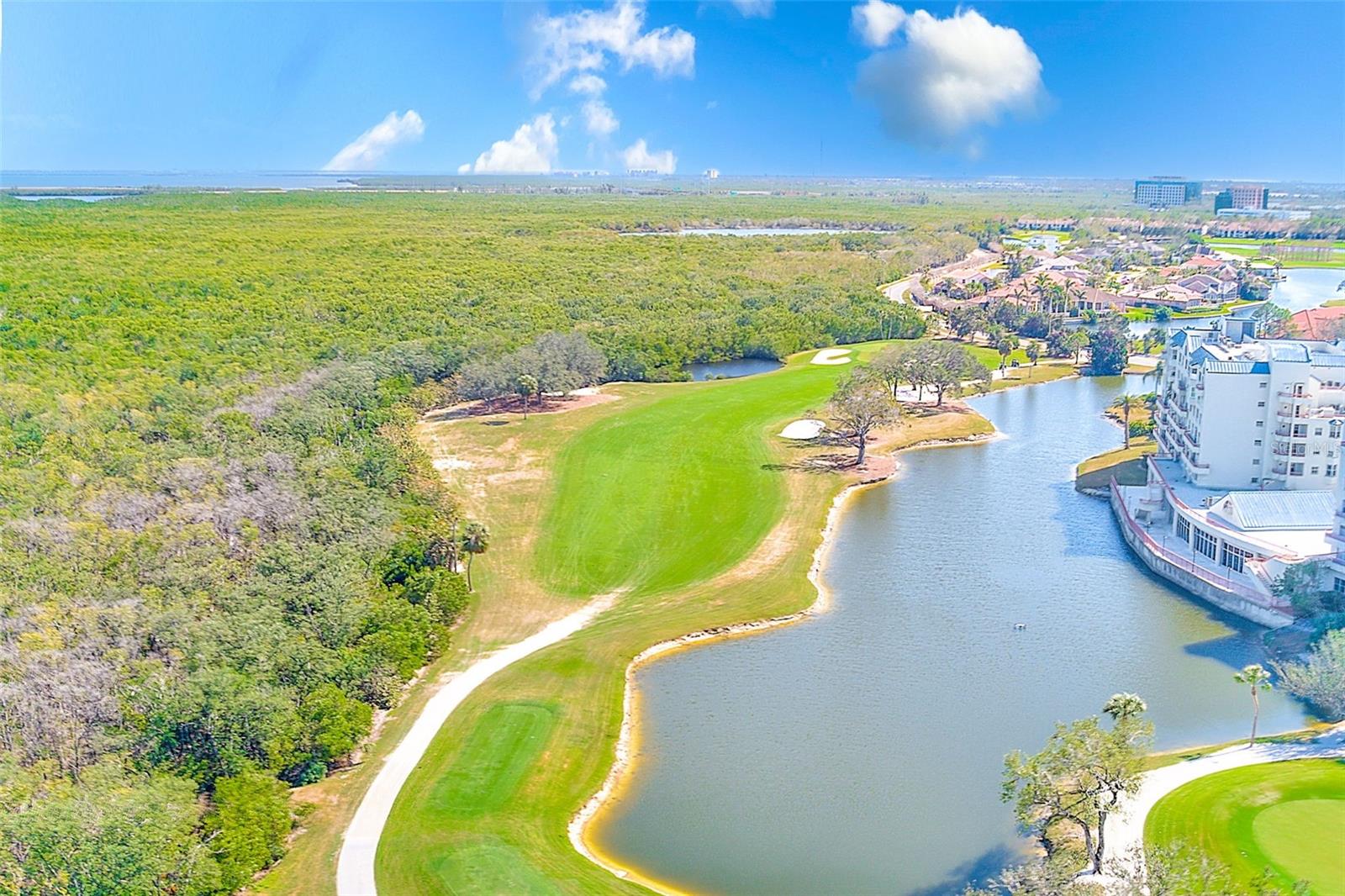 2323 Feather Sound Dr #205 Property Photo 29