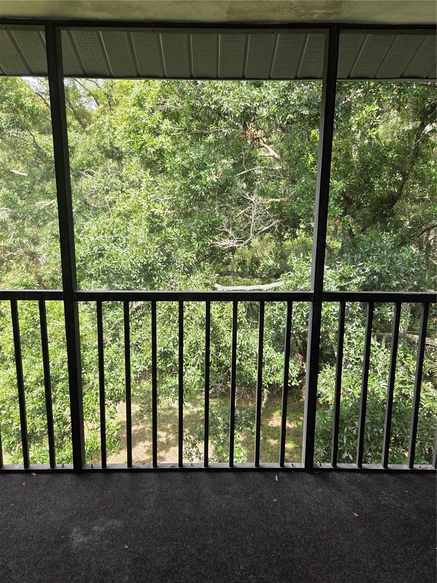 1308 Pine Ridge Cir E #g3 Property Photo 4