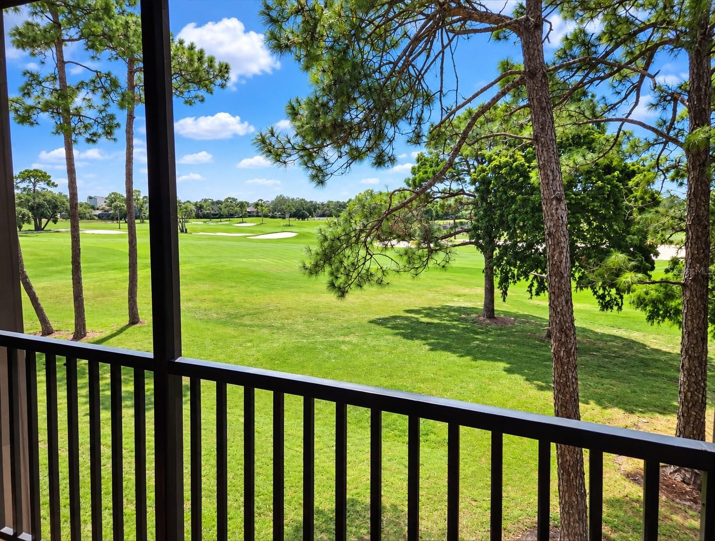 2400 Feather Sound Dr #226 Property Photo 6